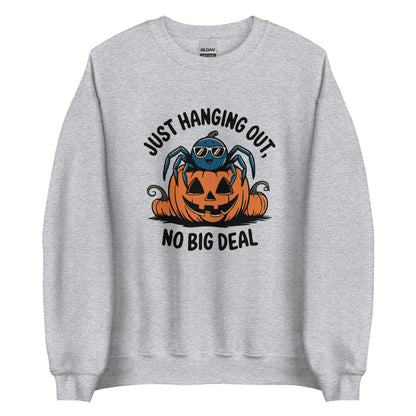 Unisex Sweatshirt "Just Hanging Out, No Big Deal"